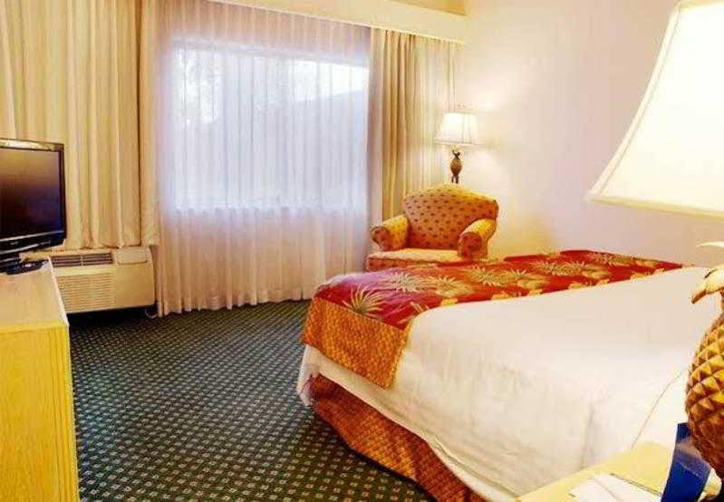 Courtyard By Marriott Fort Lauderdale Coral Springs Bagian luar foto